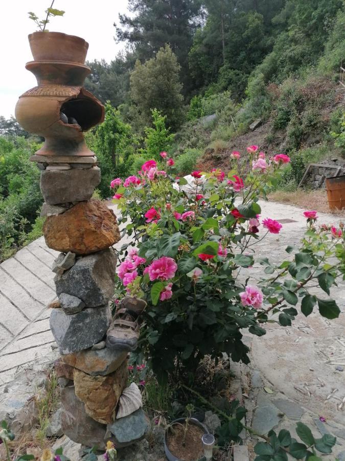 Mountain View Ioannis Ylation Saranti * Nicosia