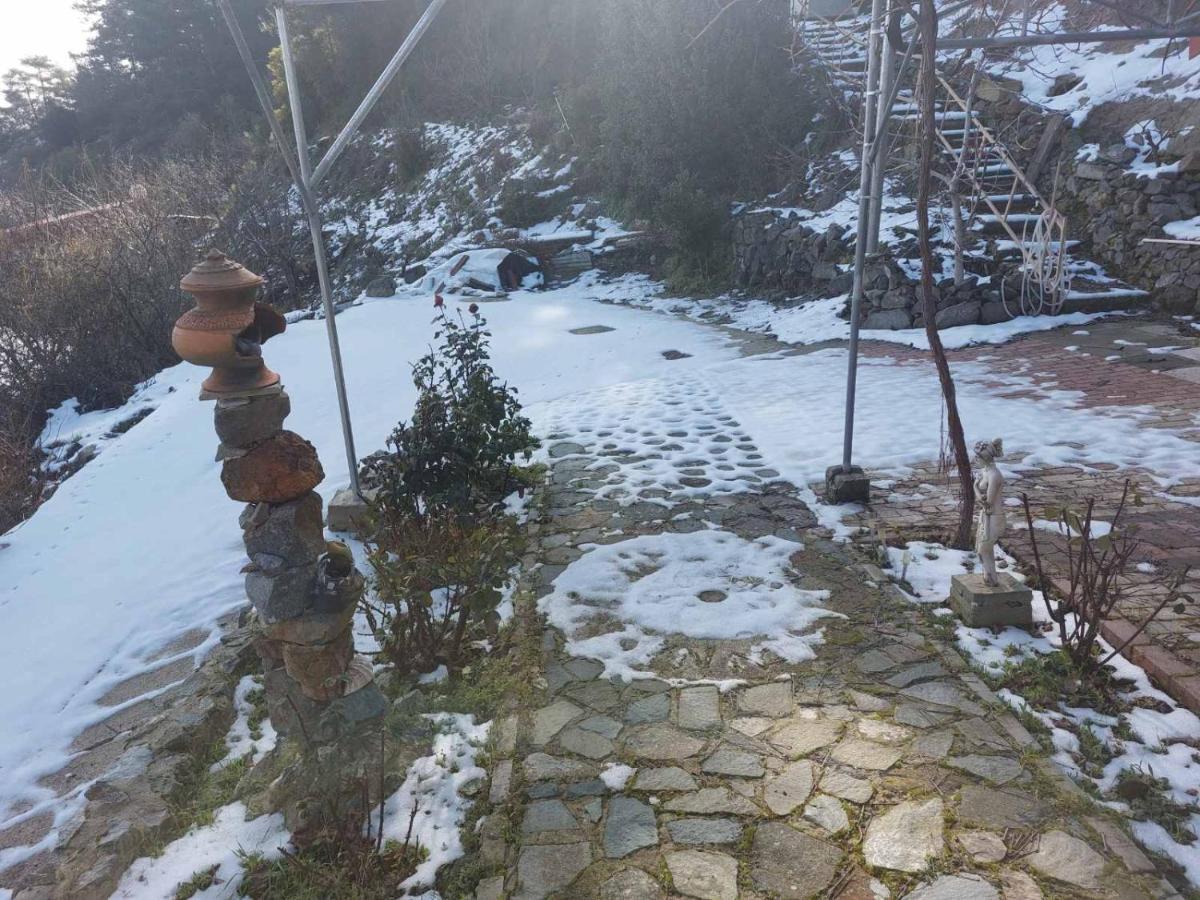 Mountain View Ioannis Ylation Saranti Nicosia