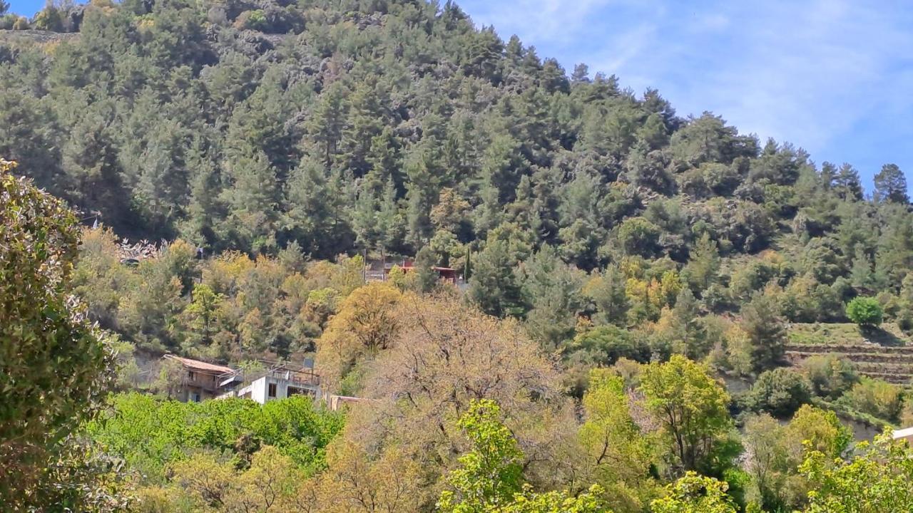 Mountain View Ioannis Ylation Saranti
