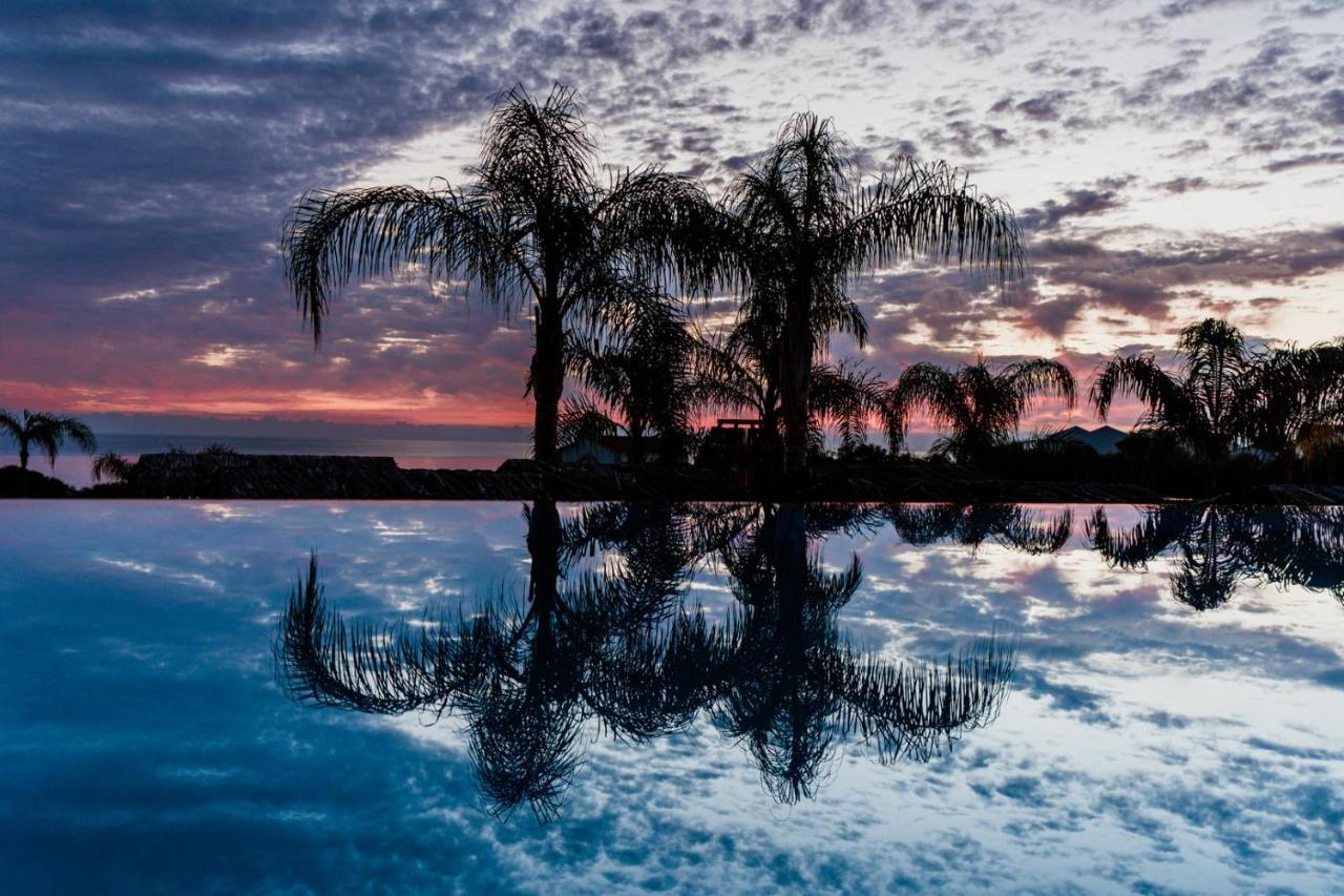 Cavo Zoe Seaside Hotel