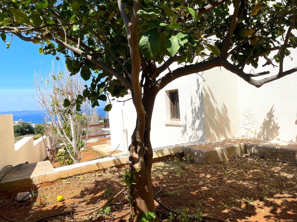Villa Nysa7 Paphos