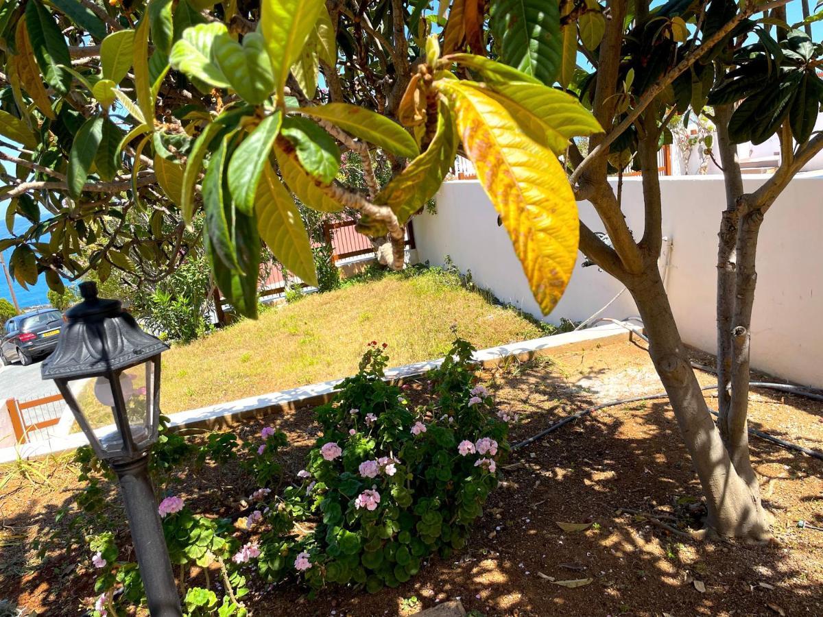 Nysa7 Villa *