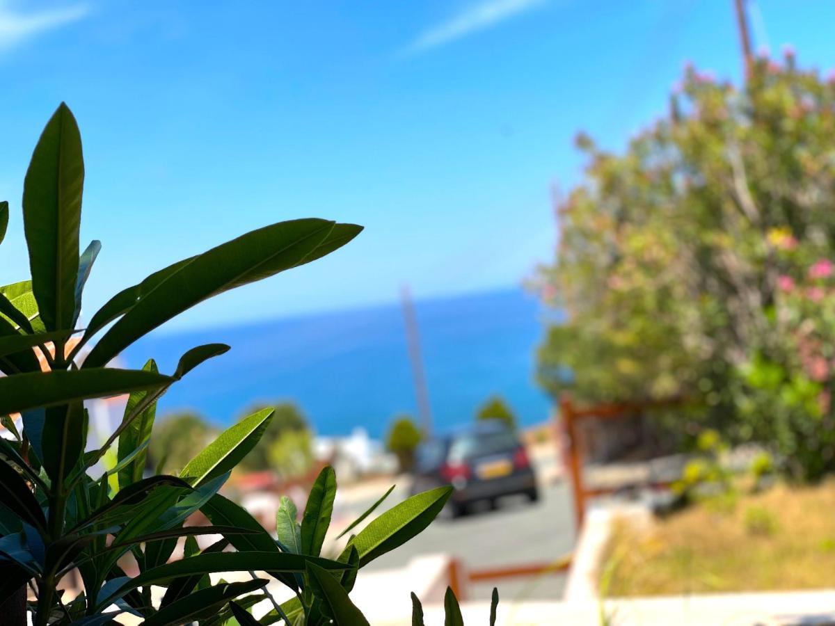 Nysa7 Paphos