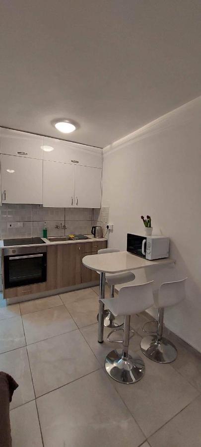 With Oleg C17 Apartment *