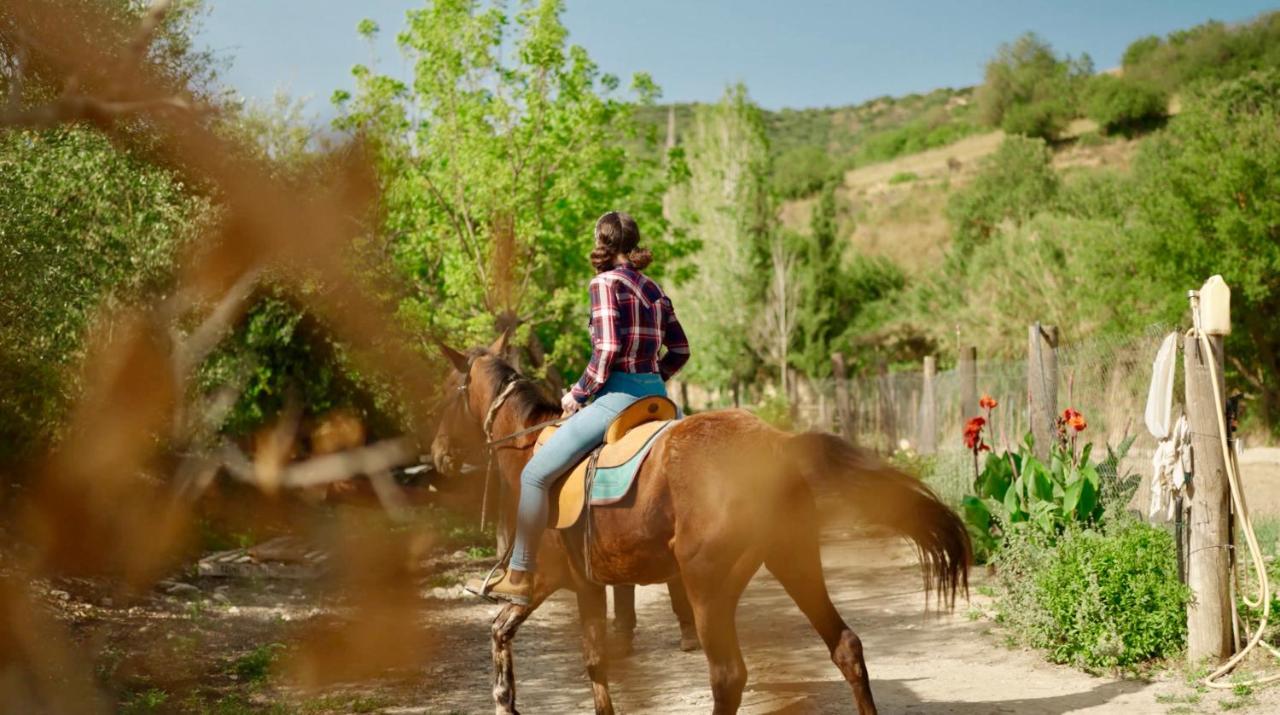 Secret Forest - Wellness Retreat & Healing (adults Only) 4*