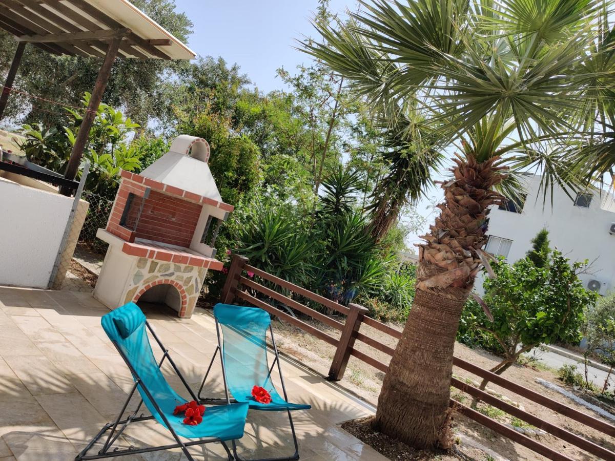 Palm Garden Paradise * Pervolia