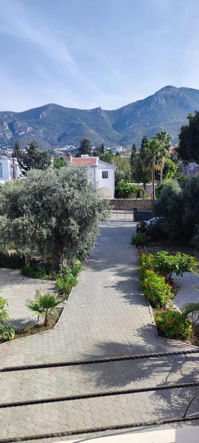 Villa Suluca Homes *