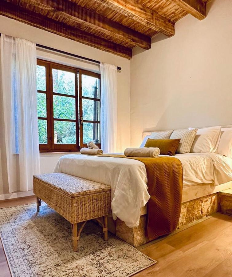 Secret Forest - Wellness Retreat & Healing (adults Only) Hotel