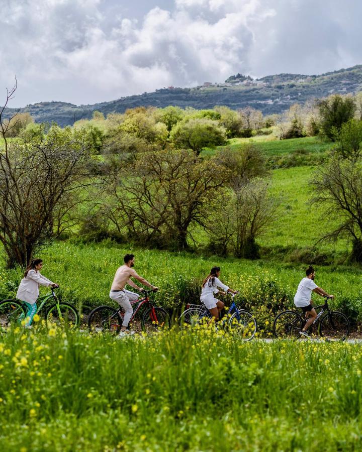 Hotel Secret Forest - Wellness Retreat & Healing (adults Only) Miliou