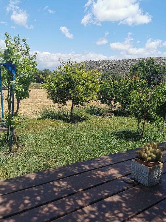 Aparthotel Ampelokipi Holiday Pissouri
