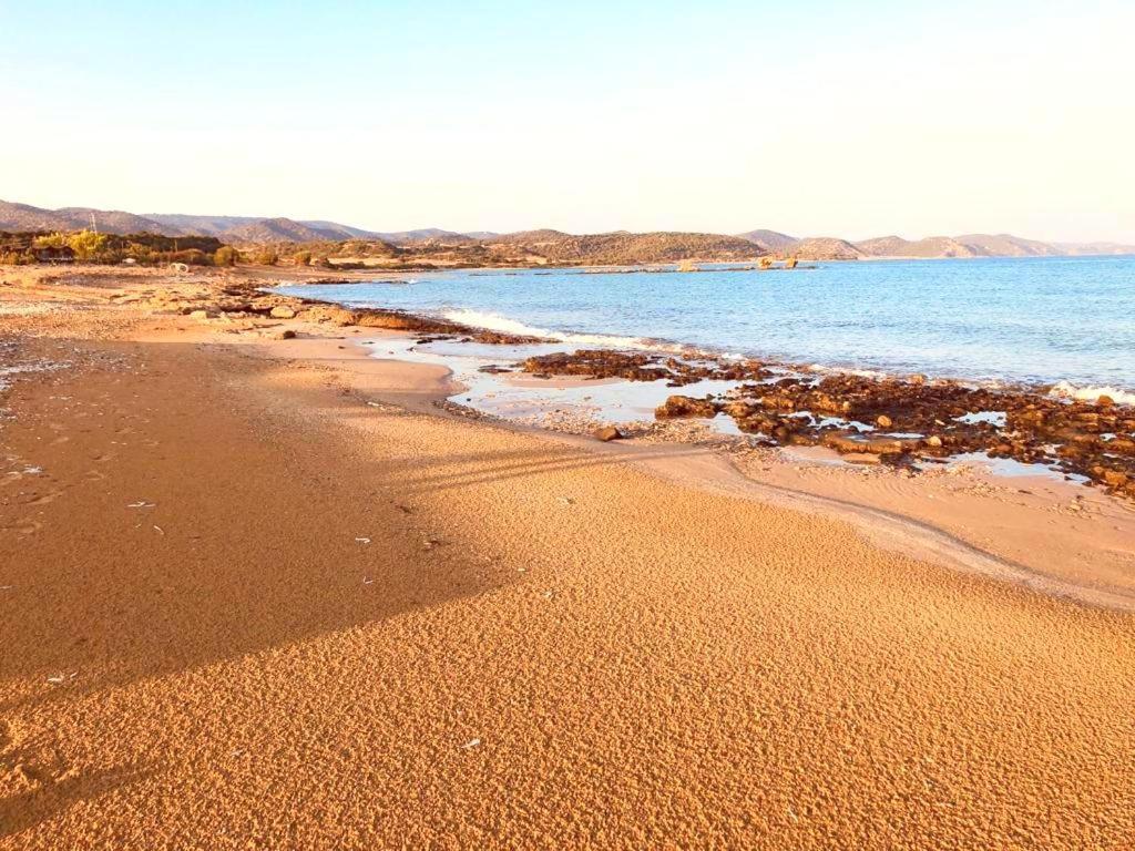 Paradise Karpaz & Restaurant Guest house