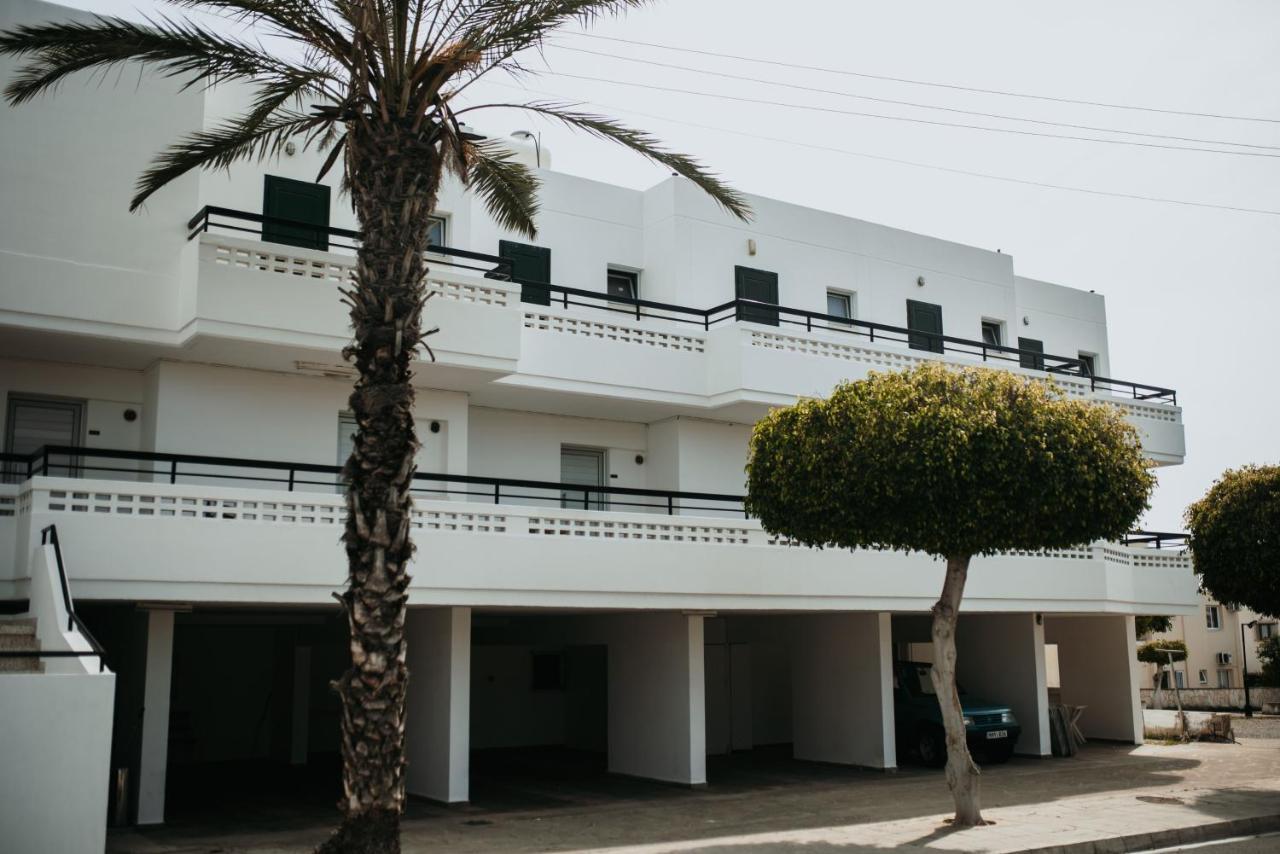 Ovis Ayia Napa