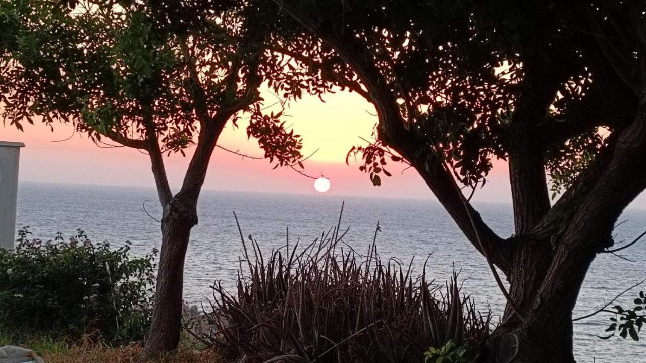 Seaclusion Vacation