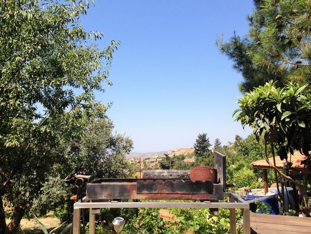 Walnut Grove Holiday home Vouni