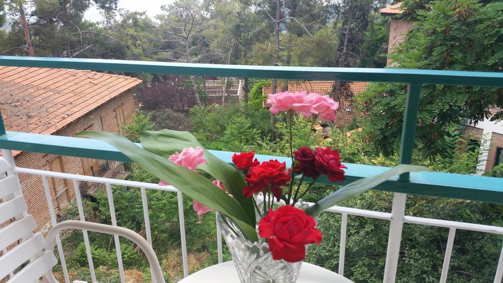 Edelweiss Hotel Platres