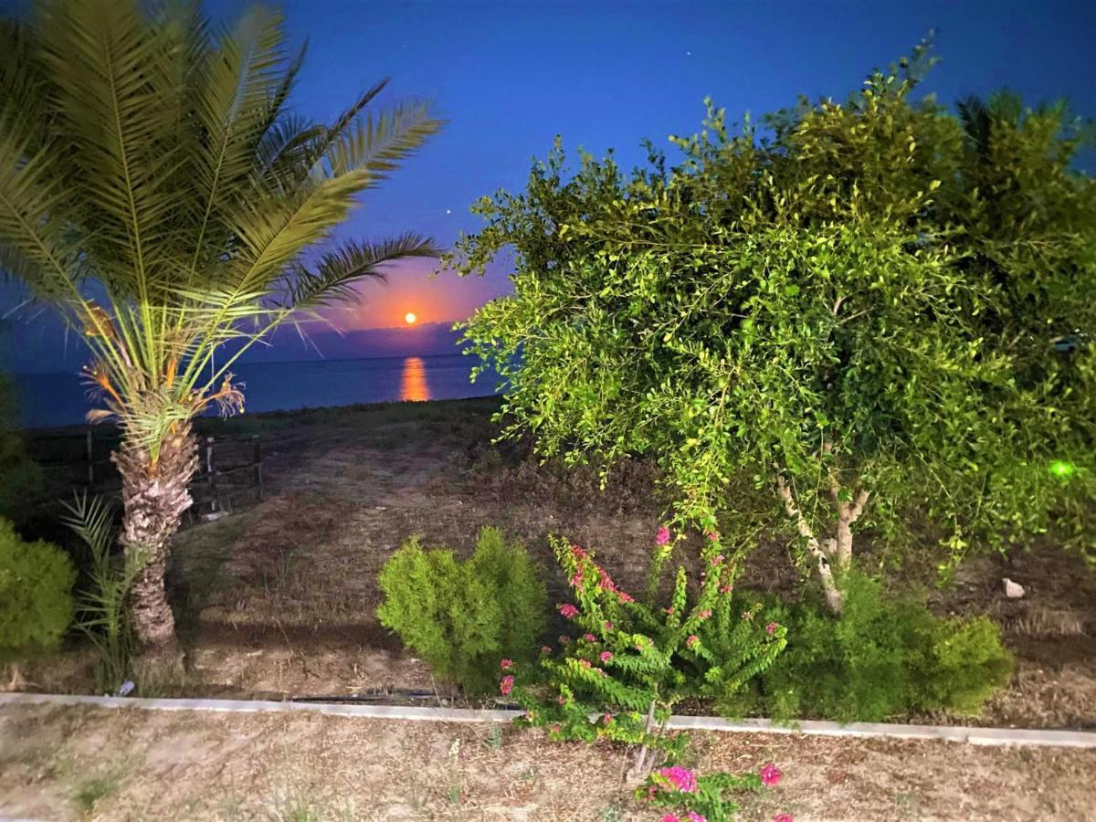 Paradise Karpaz & Restaurant * Rizokarpaso
