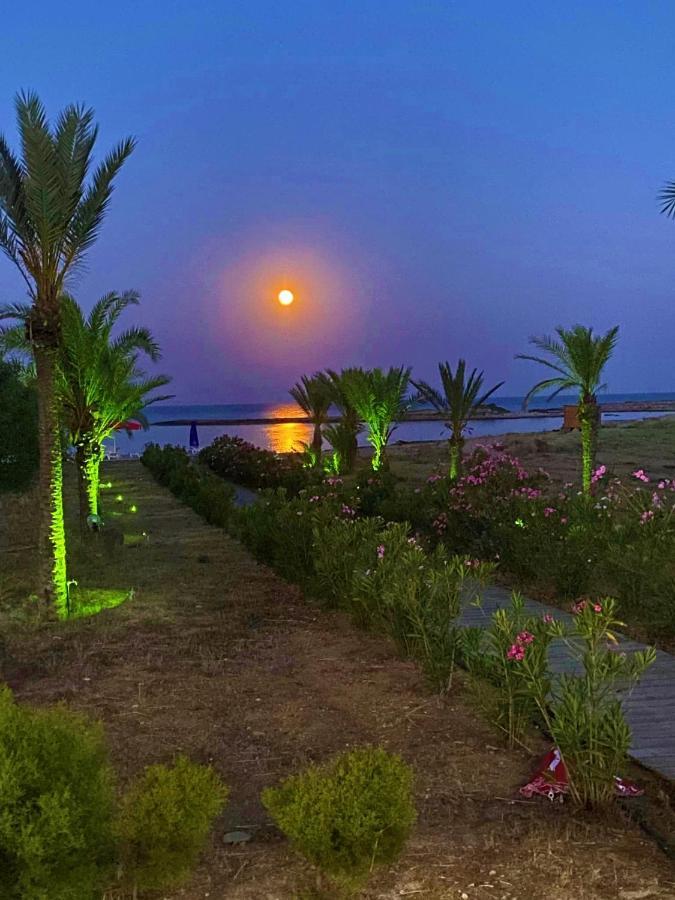 Guest house Paradise Karpaz & Restaurant Rizokarpaso