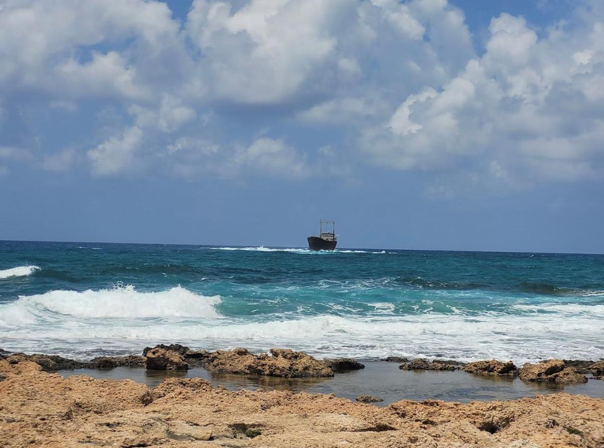 Coral View Apartamento Pegeia