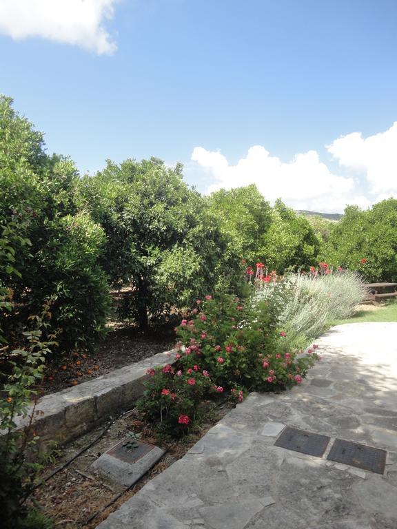 Apartment Spanos House Goudhi