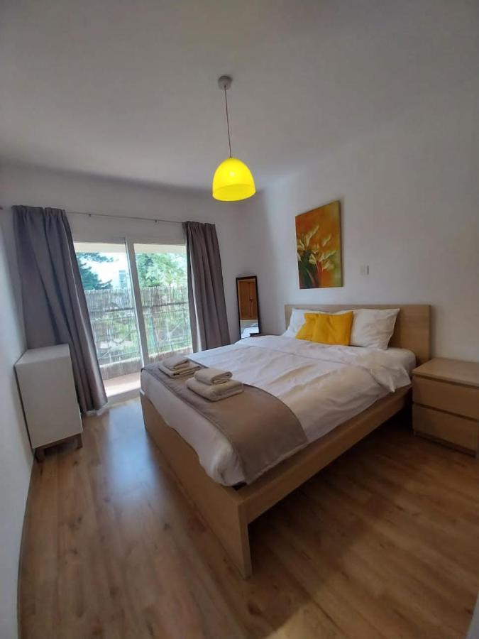 Palm 26 *