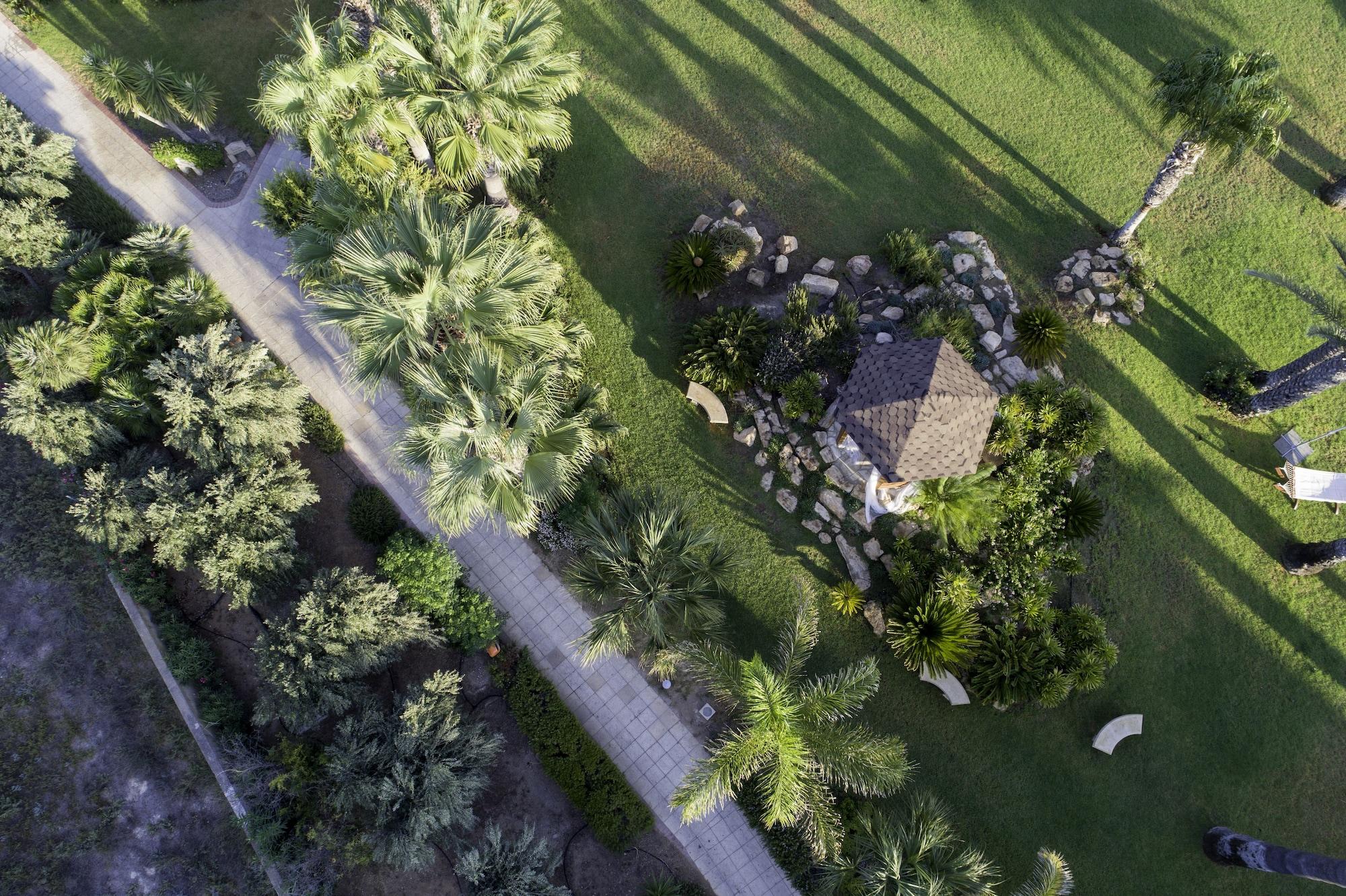 Resort Palm & Larnaca