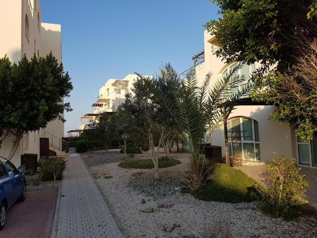 Aphrodite Beachfront - North Cyprus Apartment