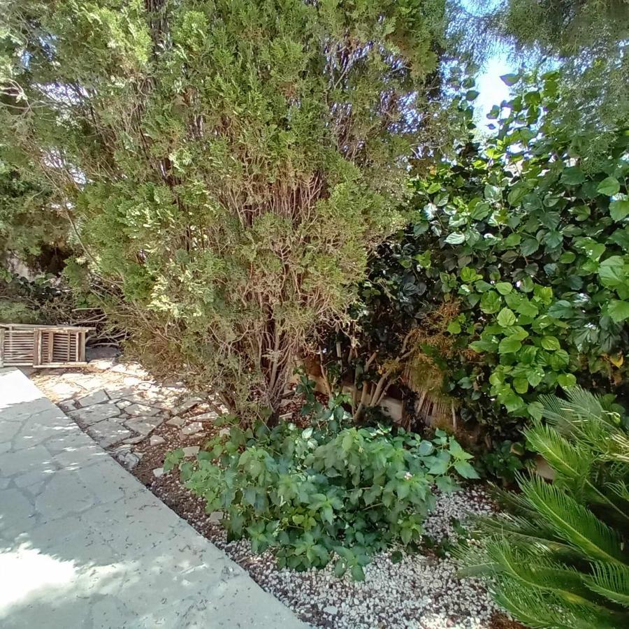 Sunset Boutique Homestay Paphos