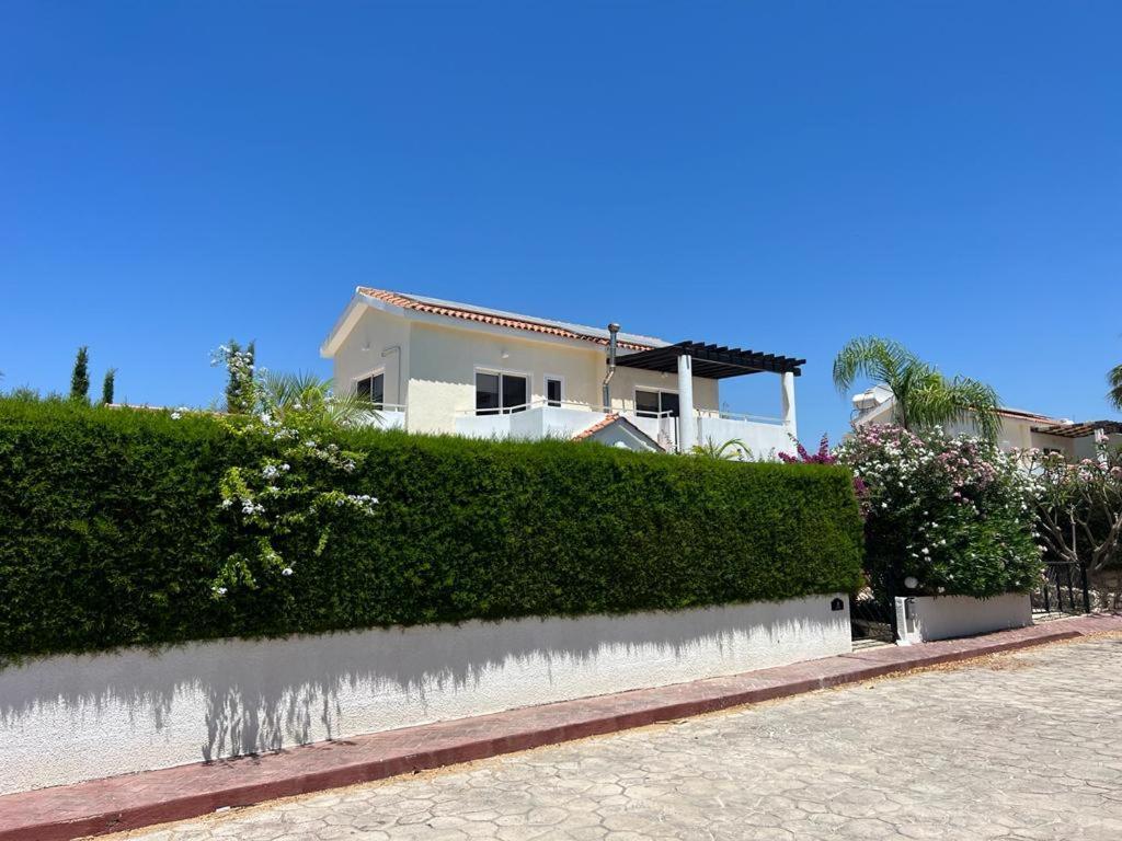 Tamara With Private Pool Villa Peyia