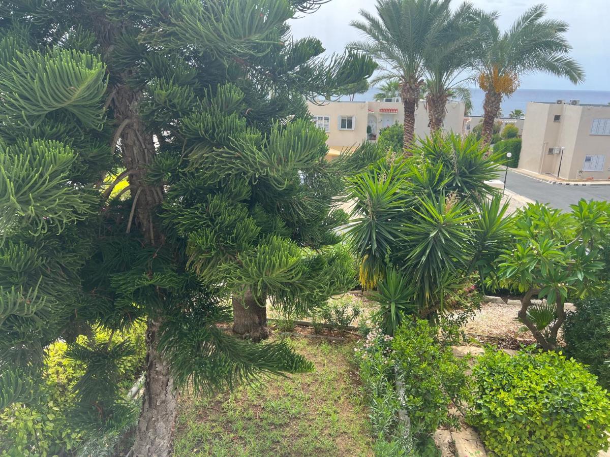Apartment Modern Seaview Townhouse In Coral Bay (adults Only) Peyia
