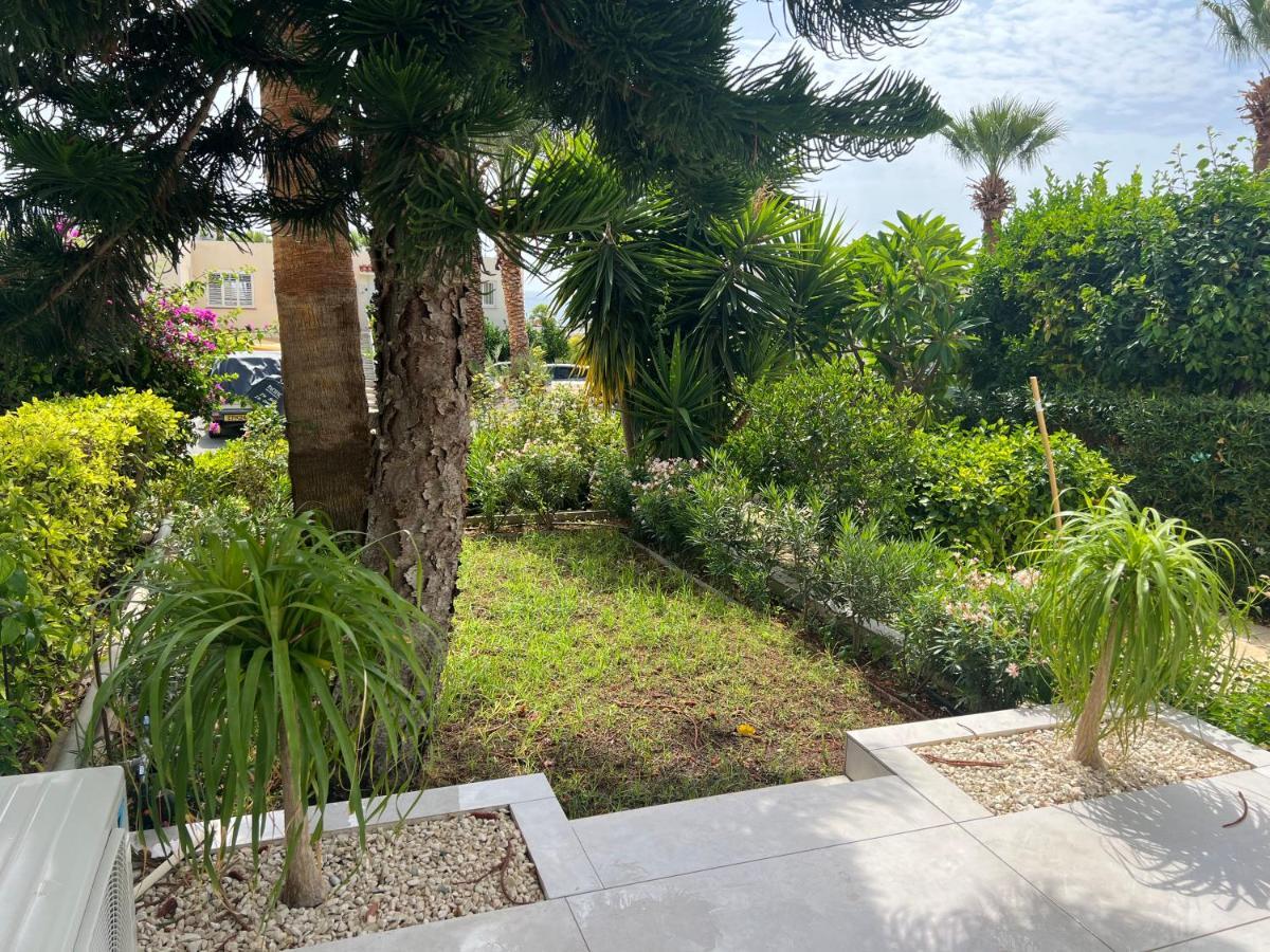 Modern Seaview Townhouse In Coral Bay (adults Only) Peyia
