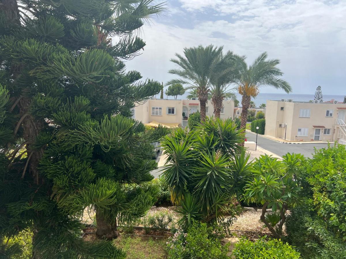Modern Seaview Townhouse In Coral Bay (adults Only) * Peyia