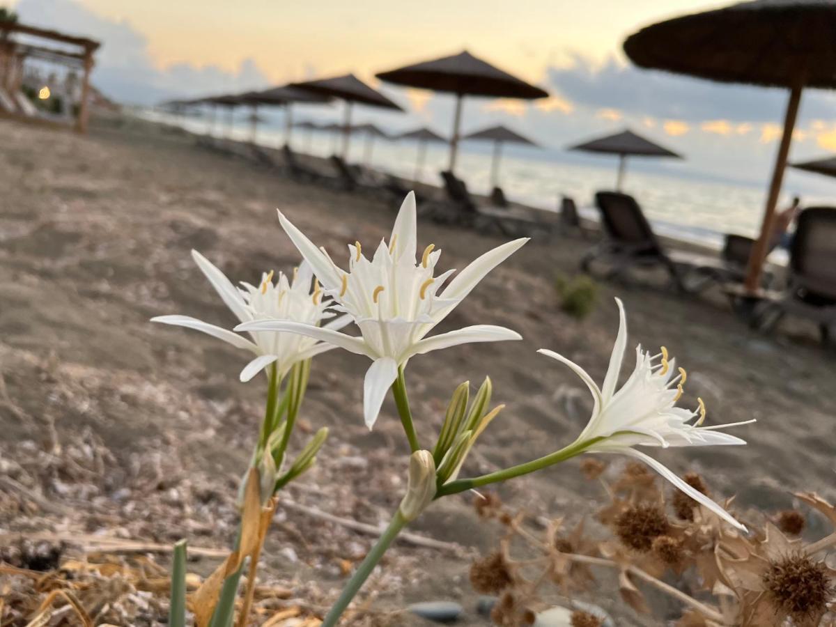 Jomavi Eco-villa Villa