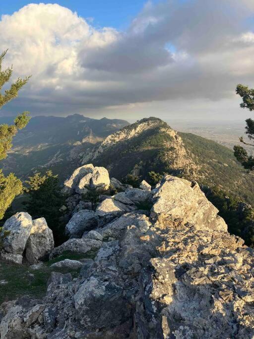 Med Privat Saltvannsbasseng Pa Dejablue Villa Kalogrea