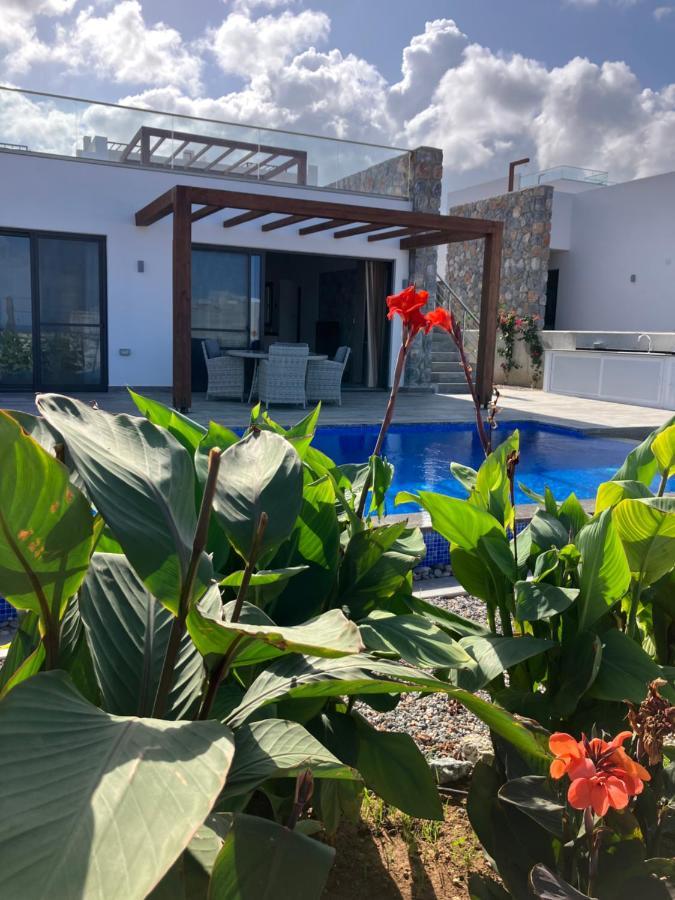 Villa Med Privat Saltvannsbasseng Pa Dejablue *
