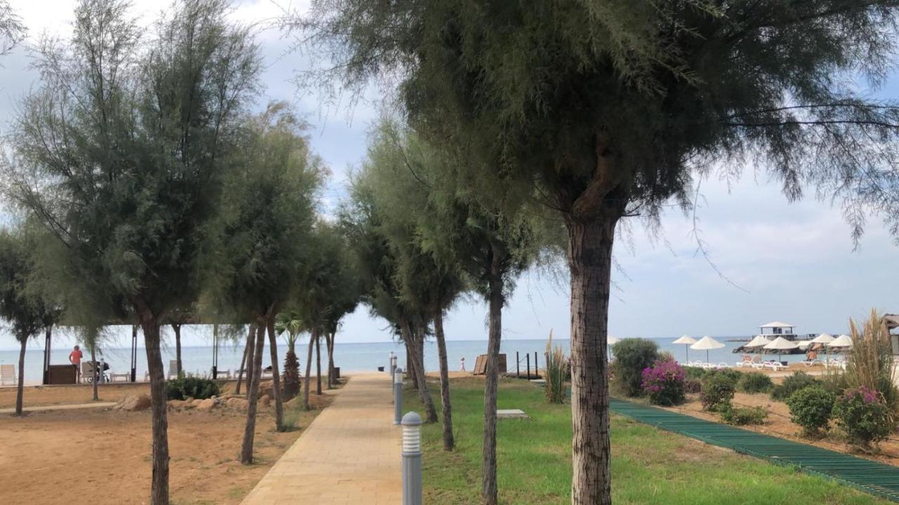 Apartment Thalassa