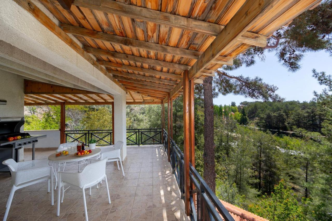 Forest Panorama * Platres