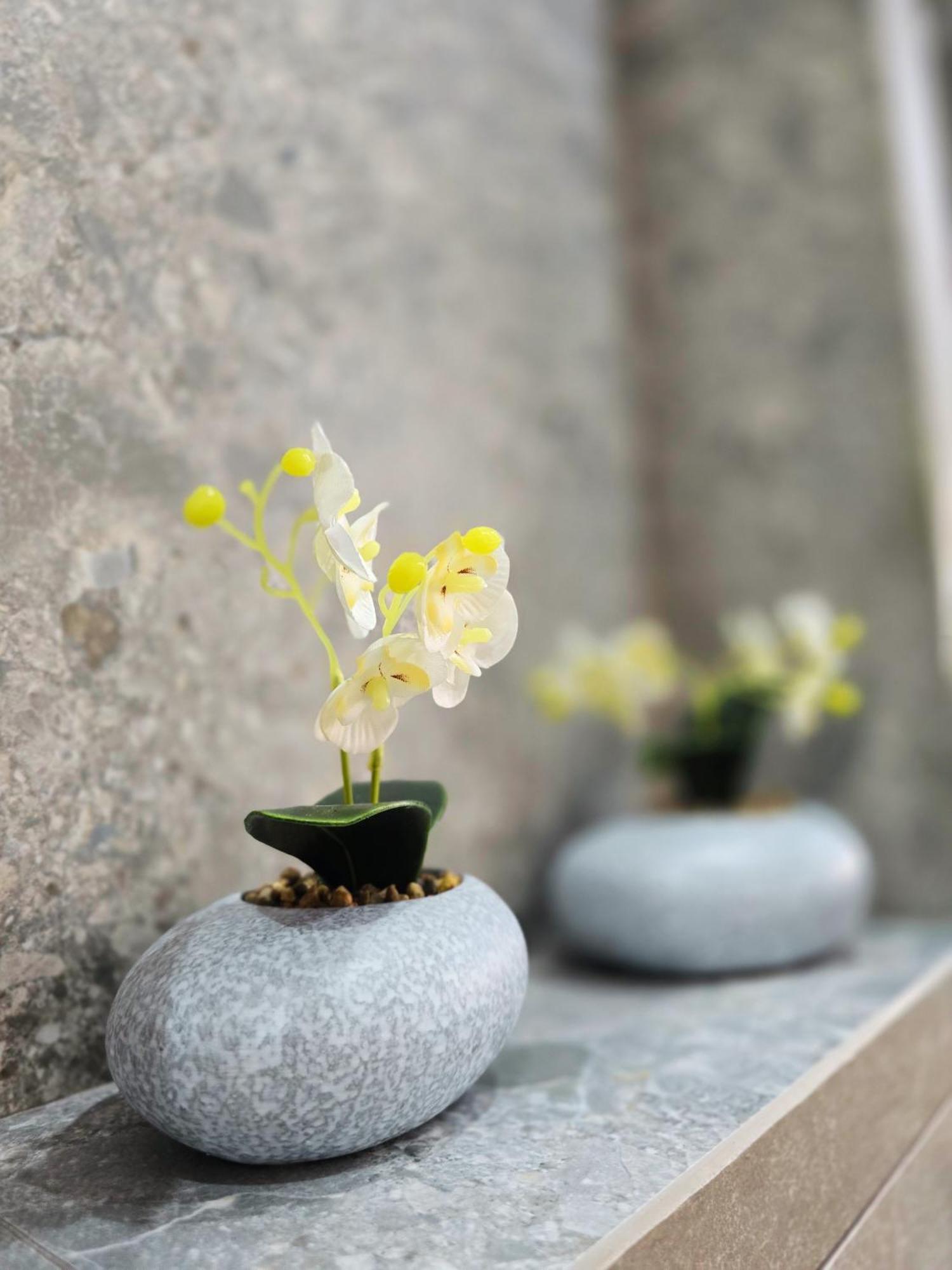 Mykonos Apartamento Paphos