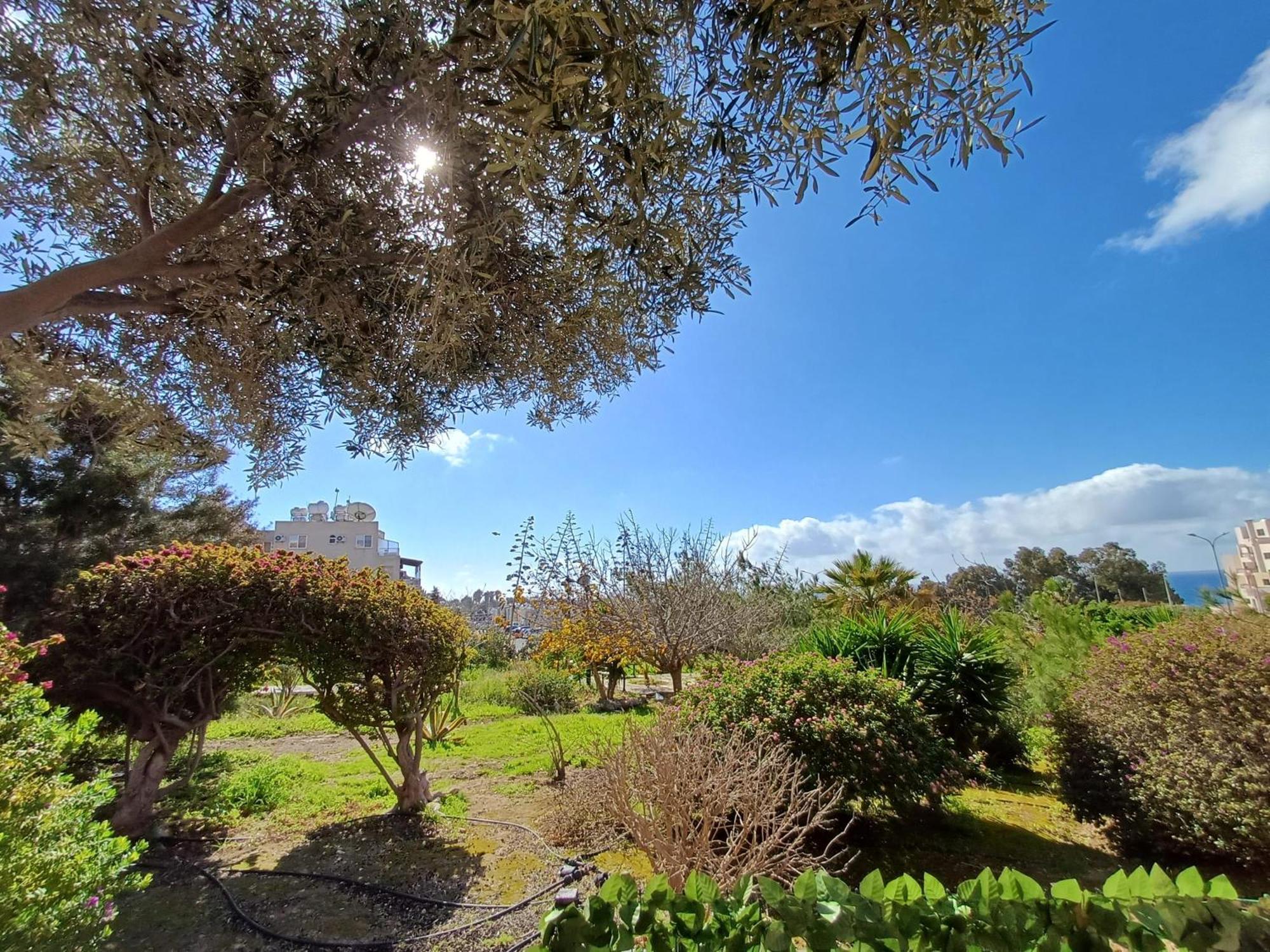 Kings Palace - Modern, Sunny 2 Bed Ground Floor With Sea Views Apartment *