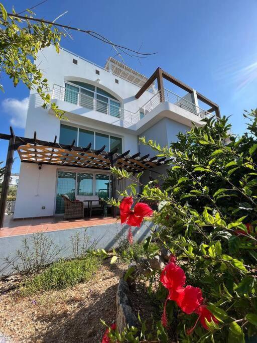 Apartment двух спальный в татлысу Crystal Bay Marina Akanthou