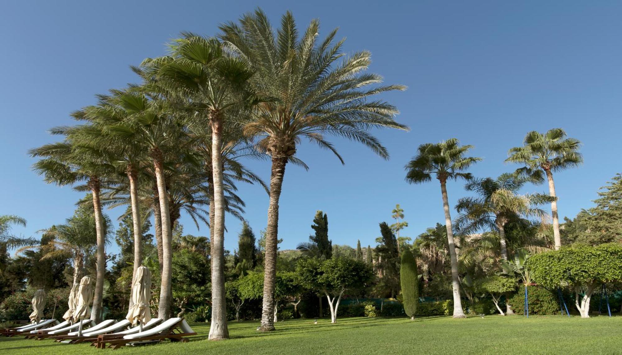 Columbia 5* Pissouri