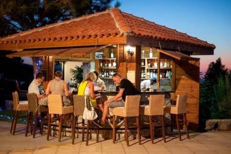 Joya Cyprus Maroon Garden *