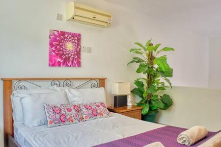 Apartment Joya Cyprus Maroon Garden Agios Amvrosios (Kyrenia)