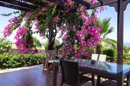 Joya Cyprus Maroon Garden Apartment Agios Amvrosios (Kyrenia)