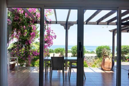 Joya Cyprus Maroon Garden * Agios Amvrosios (Kyrenia)