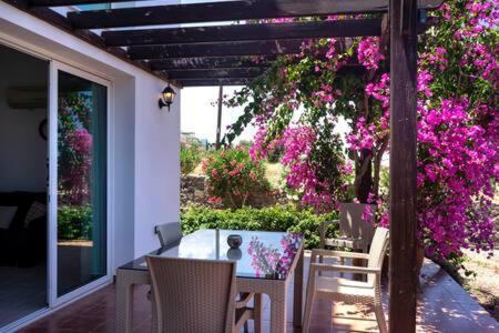 Apartment Joya Cyprus Maroon Garden