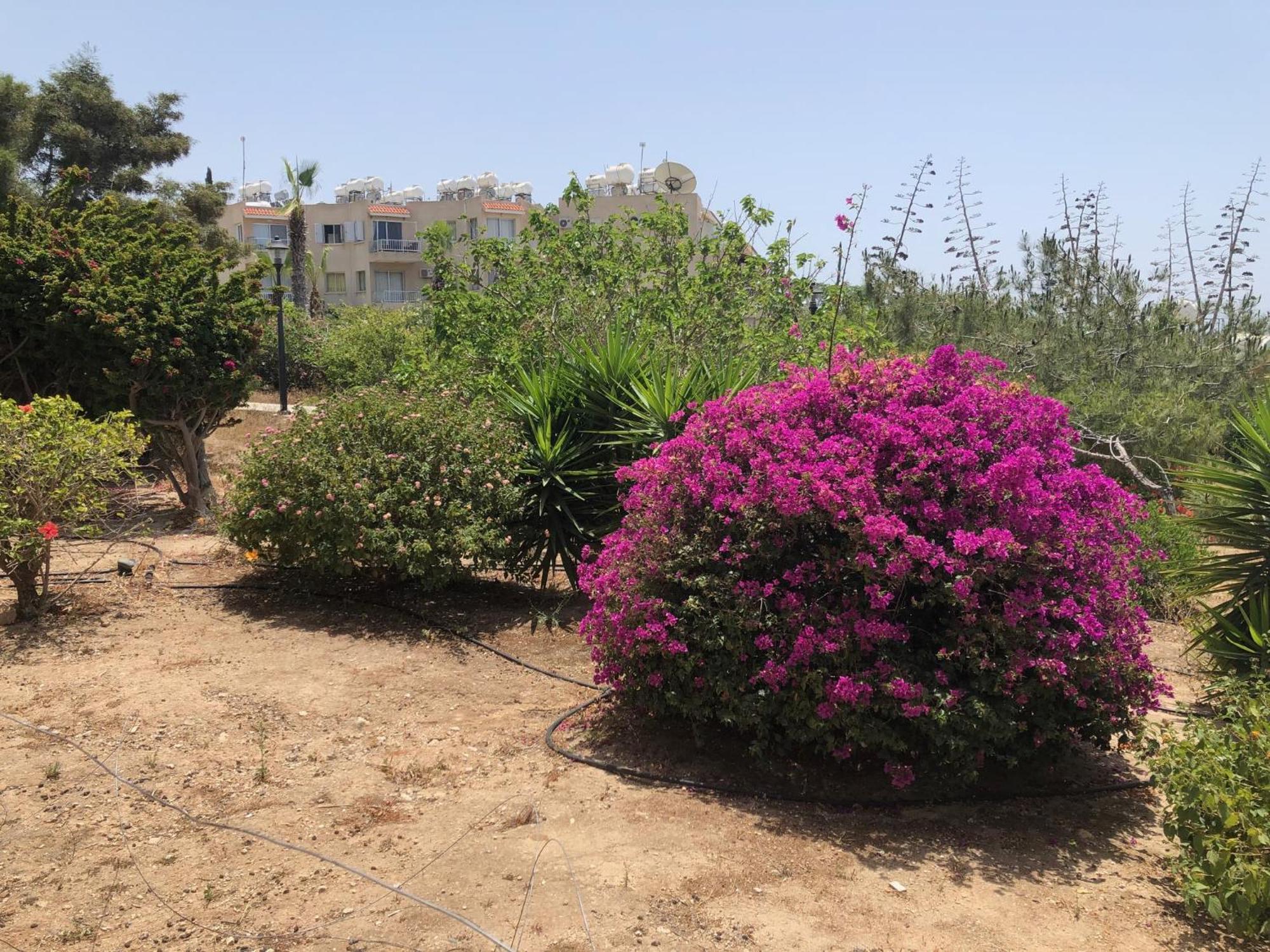 Kings Palace - Modern, Sunny 2 Bed Ground Floor With Sea Views Apartment *