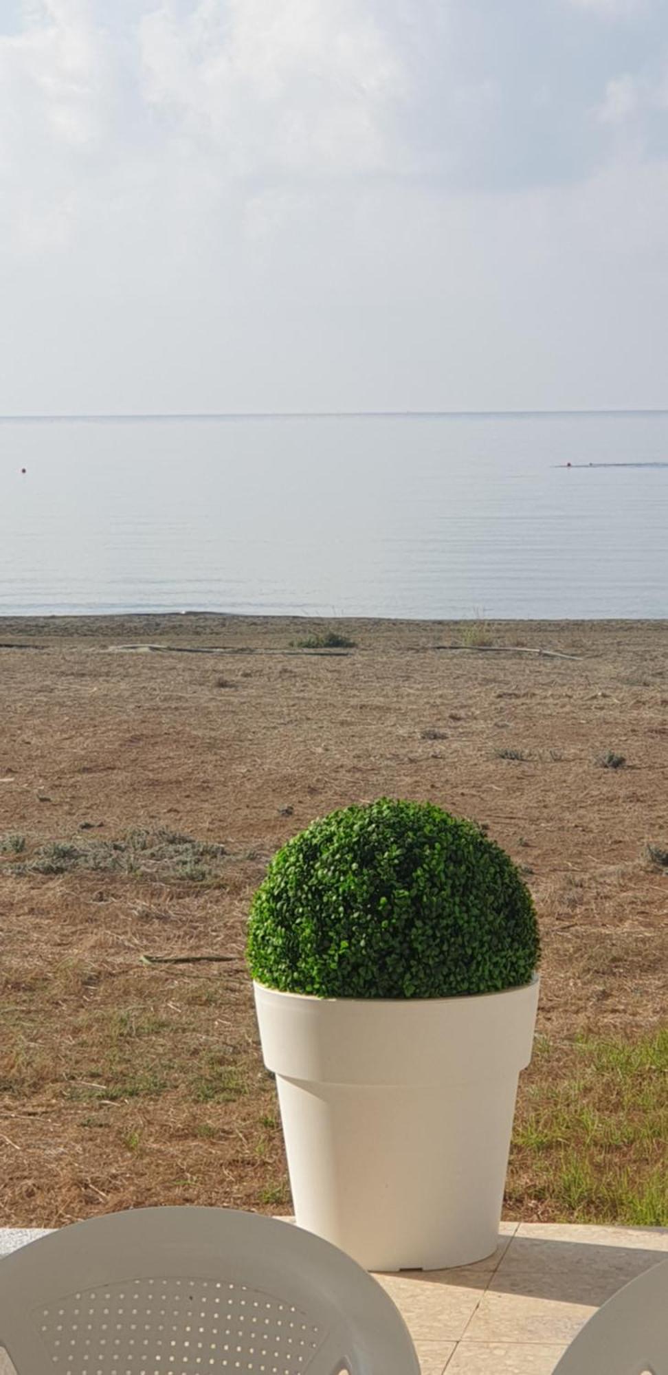 Sea Heart Beachfront * Pyla