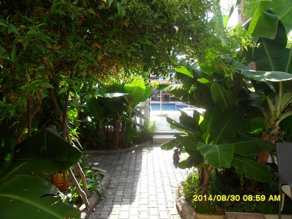 Hotel Club Alda 3*