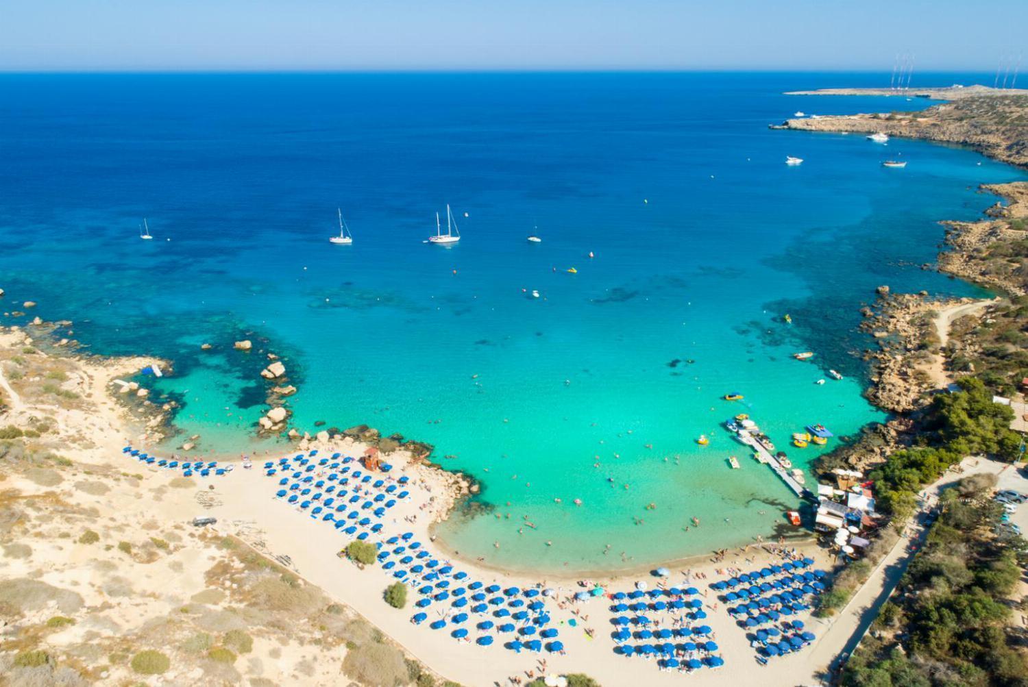 Avian Paralimni