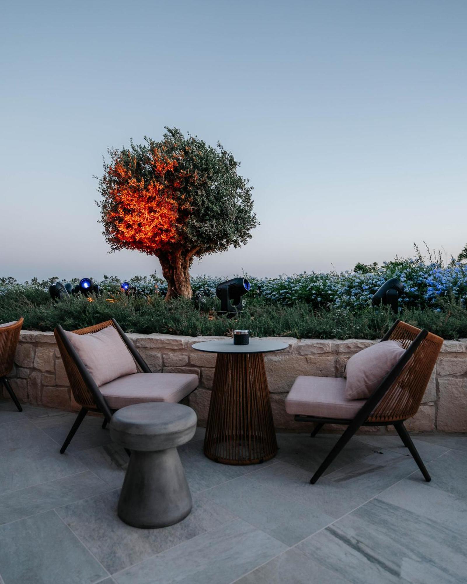 Of Dreams Mediterranean - Integrated Resort, Casino & Entertainment 5* Limassol